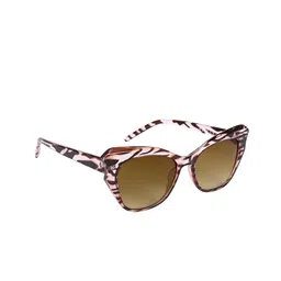 AISLIN Women Cateye Sunglasses with UV Protected Lens ES_13277-87-AS-22017-BRW-oBRCL-CEBF-image-84