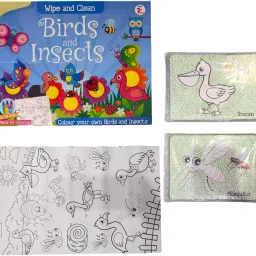 Color & Wipe, Crayons & Poster For Colouring, 24 Cards, Birds & Insects Theme-image-3