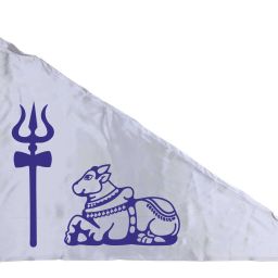 For Temple, Home, Rally & Multipurpose Triangle Outdoor Flag-image-23