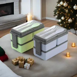 Combo of 2 Grey and Pista Lunch Box with Spoon and Fork Office School Collage 6 Containers Lunch Box-picture-14