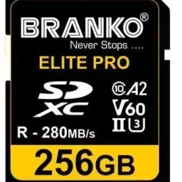 Branko V60 Elite Pro Memory Card for Photo Video Music Voice File DSLR Camera DSC Camcorder 256 GB SDXC Class 10 280 MB/s Memory Card Compatible with Mobile, Camera, Tablet-13