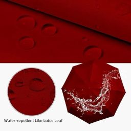 lengloy Mini Pocket Umbrella with Case (Manual Open) 6 Frame Use in Rain Umbrella Umbrella image 3