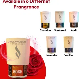 vatavaran Oudh, oud, Audh Diffuser Set image 5