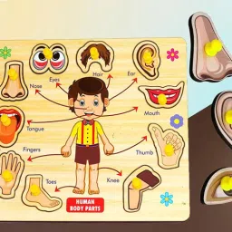 Activities Body Parts Chart Board Game Learning Puzzle Wooden Toys with Knobs-image-5