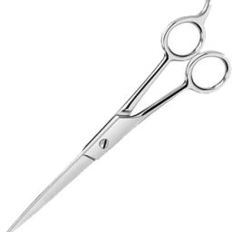 High Quality Home And Professional Hair Cutting Scissors Thinning Shears Scissors Barber Salon Easy Grip for Men Women Kids and pets All Purpose Pack Of 1 (Silver) Scissors-30