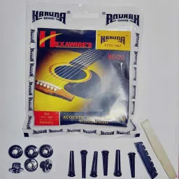 Acoustic 1SET KARUNAA STRING BRIDGE PIN SADDLE NUT FILLE Guitar String-11
