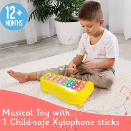 masoomtoys 2 in 1 Piano and Xylophone Toy with 8 Colorful Keys for Toddlers and Kids MT4 image 3