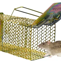 Mouse/Rat Trap cage Chuha Pakadne ka Pinjara Cross Design Heavy Quality (Large) Live Trap-20
