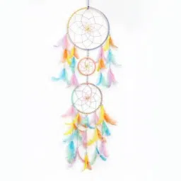 NLDC 50 Feather Dream Catcher-image-35