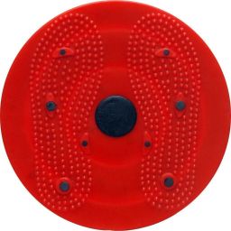 Acupressure Health Care India Big Disc Tummy Trimmer Twister Power Mat Ab Exerciser-23