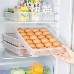 Plastic Egg Container- 2 dozen-22