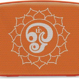 SAREGAMA Carvaan Mini Tamil Devotional 5 W Bluetooth Speaker-22