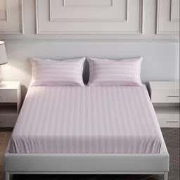 Mulberry Living Pink Striped 300 TC Cotton Queen Bedsheet Set 2.28 m x 2.74 m-image-13