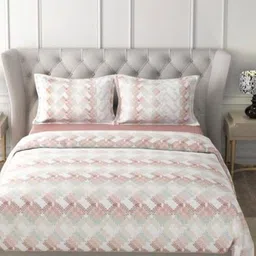 HOME PLUS STUDIOS Raymond Rich Dream Maroon Floral Cotton 160TC Bedsheet Set-2.74m x 2.74m-image-76