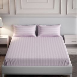 Mulberry Living Pink Striped 300 TC Cotton King Bedsheet Set Covers 2.74 m x 2.74 m-picture-29