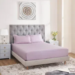 MYTRIDENT nectarsoft signature select Rose 400 TC King Bedsheet with 2 Pillow Covers-image-81