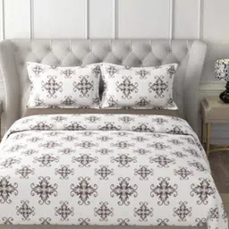 HOME PLUS STUDIOS Raymond Rich Dream Brown Cotton 160 TC King Bedsheet Set-2.74mx2.74m-image-41