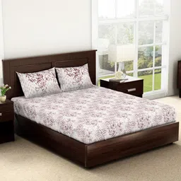 SPACES Evoke Brown Floral 144 TC King Bedsheet with 2 Pillow Covers-15