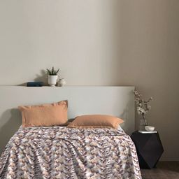 MYTRIDENT 144 TC Queen Cotton Bedsheet with 2 Pillow Covers-image-55