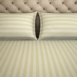 SPACES Unisex White Bedsheets image 5
