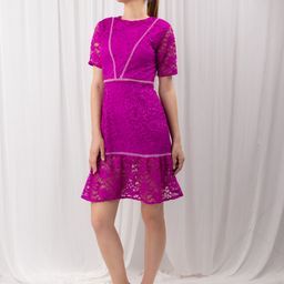 Stylecast X Hersheinbox Lace A-Line Mini Dress-image-74