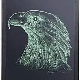 Pack Of 1 Portable LCD Writing Board-15