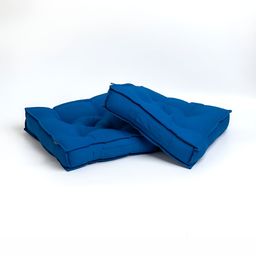 SKANDA FAB Blue 2 Pieces Pure Cotton Square Cushions-45