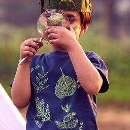 Somersault Boys Graphic Printed Cotton T-shirt-image-85