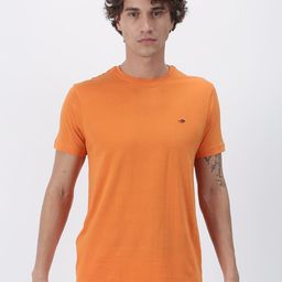 Red Flame Round Neck Short Sleeve Regular Fit Cotton T-shirt-image-93