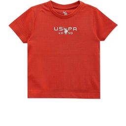U.S. Polo Assn. Kids Boys Graphic Printed Pure Cotton T-shirt-12