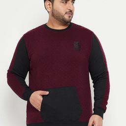 bigbanana Plus Size Colourblocked Pure Cotton Pullover-picture-22