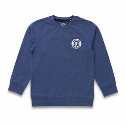 JusCubs Boys Round Neck Pullover Cotton Sweatshirt-picture-22