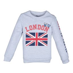 PLUM TREE Boys Grey Printed Sweatshirt-image-88