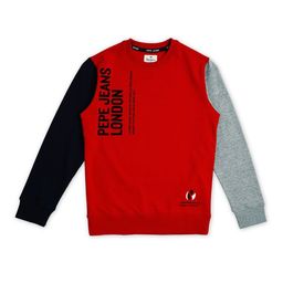 Pepe Jeans Boys Printed Round Neck Pure Cotton Pullover-image-51