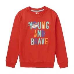 Cub McPaws Boys Red Printed Cotton Sweatshirt-image-76