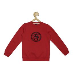 Allen Solly Junior Boys Brand Logo Embroidered Pure Cotton Pullover Sweatshirt-image-4
