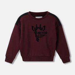 Blue Giraffe Boys Graphic Printed Round Neck Pullover Sweatshirt-image-125
