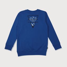 Palm Tree Boys Blue Cotton Sweatshirt-image-30