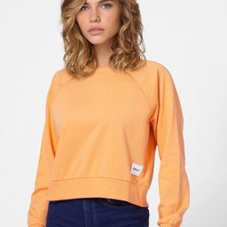 ONLY Women Orange Solid Sweatshirt-picture-37