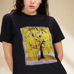The Roadster Lifestyle Co Printed Cotton Tshirts-image-69