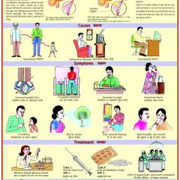 Diabetes Chart Photographic Paper-28