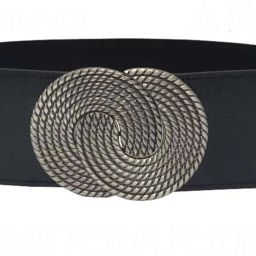 Women Casual, Evening, Formal, Party Black Metal Belt-image-41