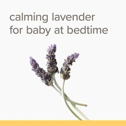 burt's bees calming lotion with lavender 6oz/170g image 3