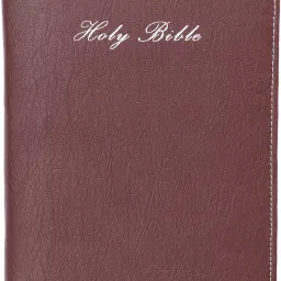 Women Brown Artificial Leather Document Holder - Regular Size-image-98