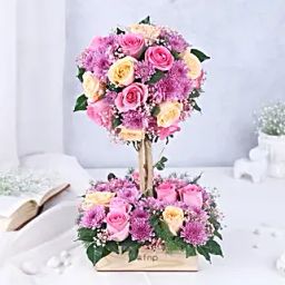 Tranquil Rose Fusion-image-18