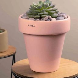 harla arts Dream (Small) Green Porcelain Floor Planters-picture-35