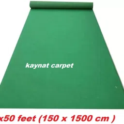 Green Nylon Carpet-12