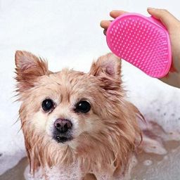 Dog & Cat Hair Brush For Grooming / Cleaning / Massager Plain/ Bristle Brushes for Dog & Cat-26