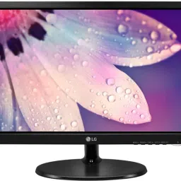 LG 46.99 cm (18.5 inch) HD TN Panel Monitor (19M38A)-picture-23