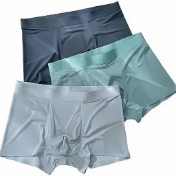 Men Brief-picture-21